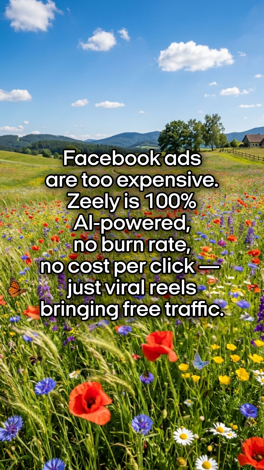 Zeely Facebook ad