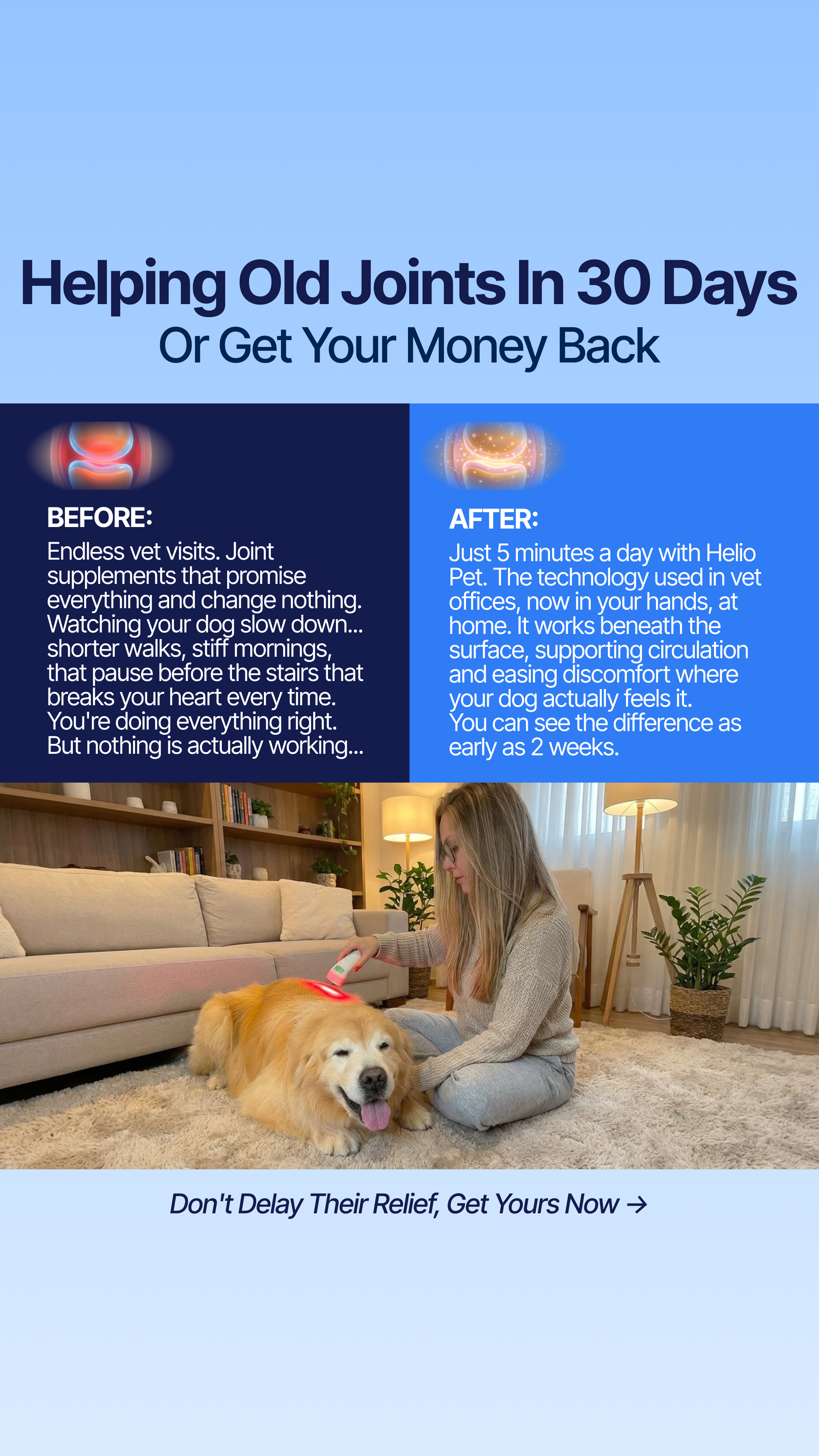 Helio Pet Facebook ad