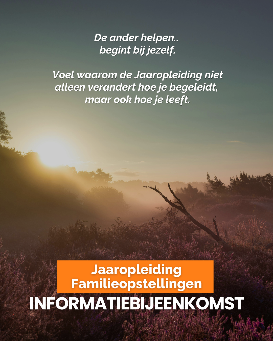 Hylke Bonnema Facebook ad