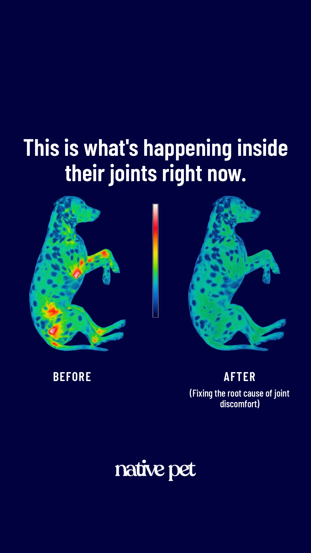 k9healthdaily Facebook ad from Mar 20, 2026