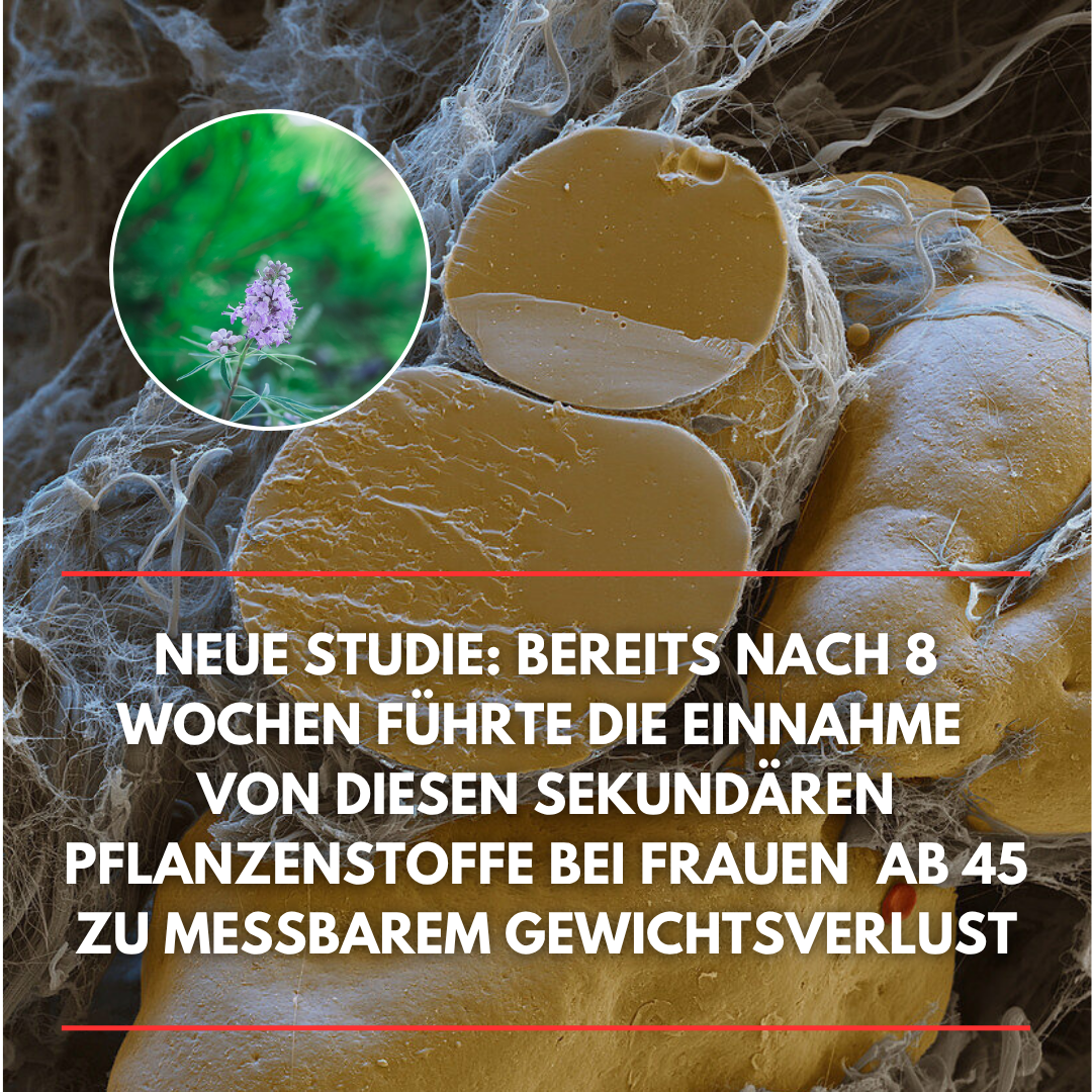 Gesundheitspiegel Facebook ad: Der größte Fehler bei Hormon-Bauchfett