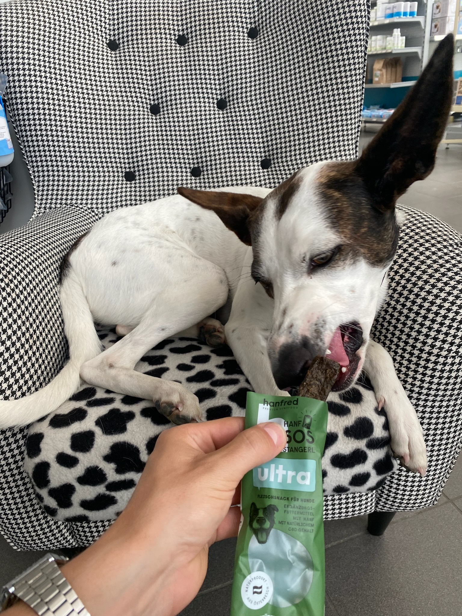 Hanfred HTG GmbH Facebook ad: Anti-Stress Snacks für Hunde