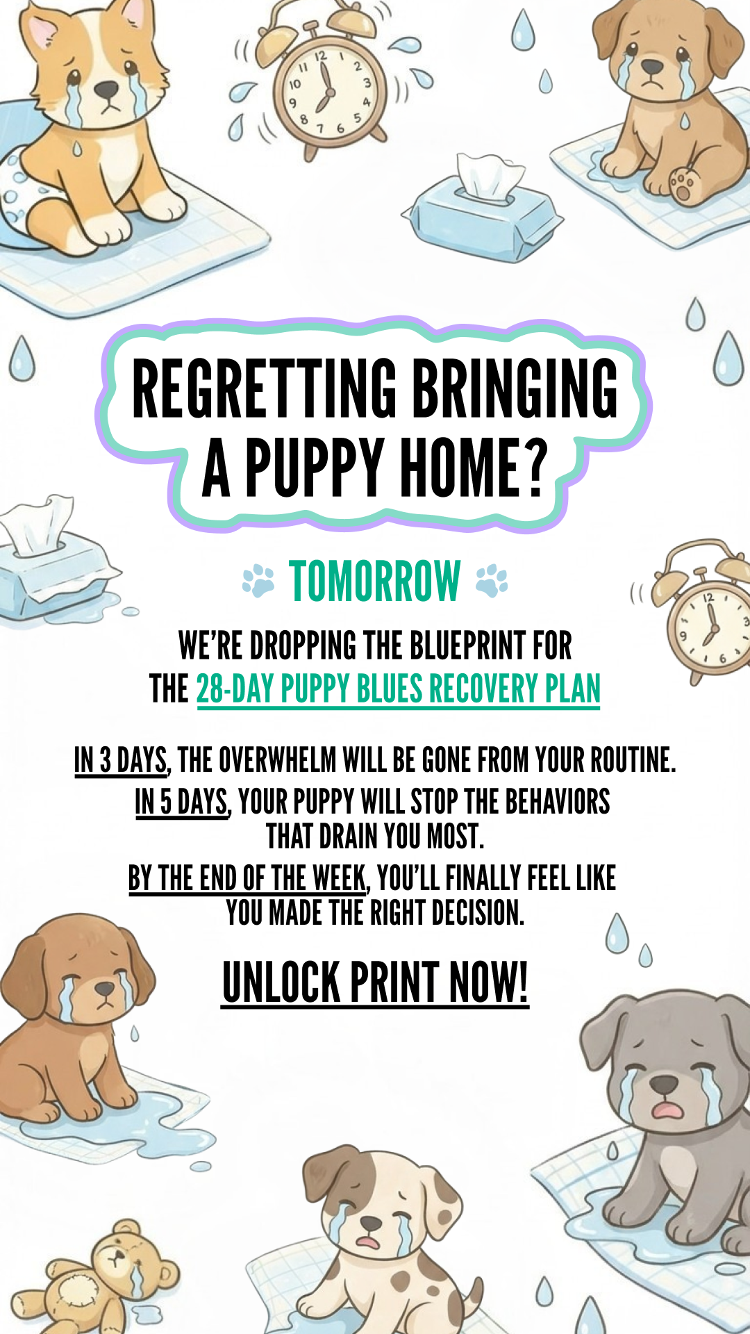 Woofz - Puppy Training Facebook ad
