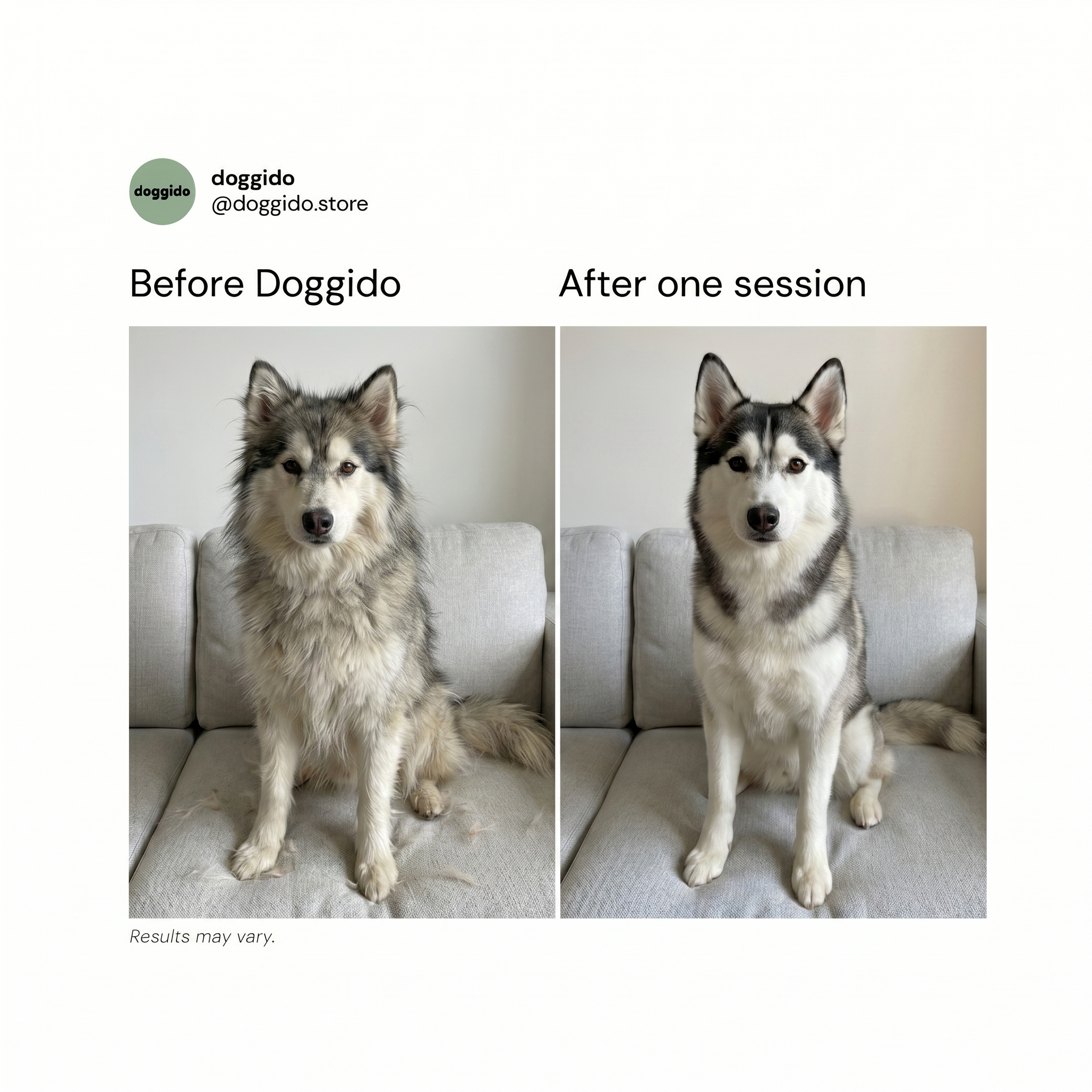 Doggido Facebook ad
