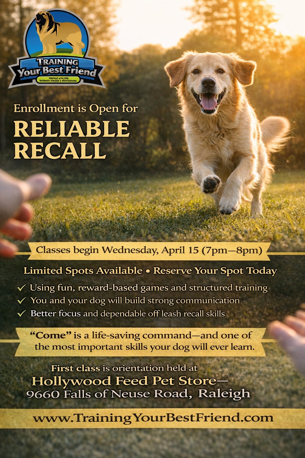 Training Your Best Friend LLC Facebook ad