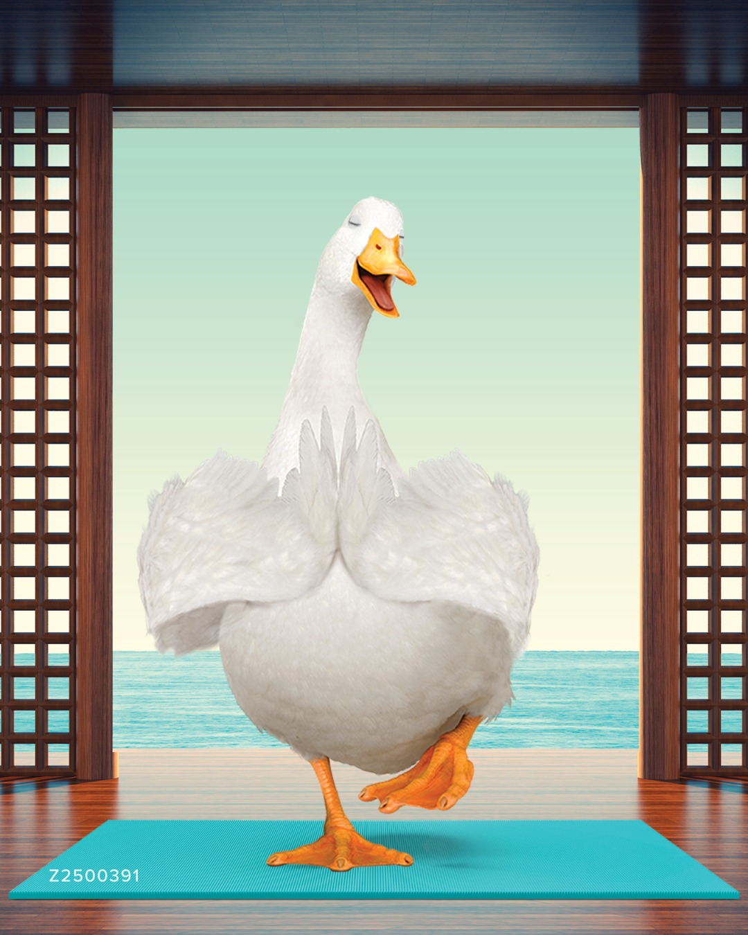 Aflac Facebook ad