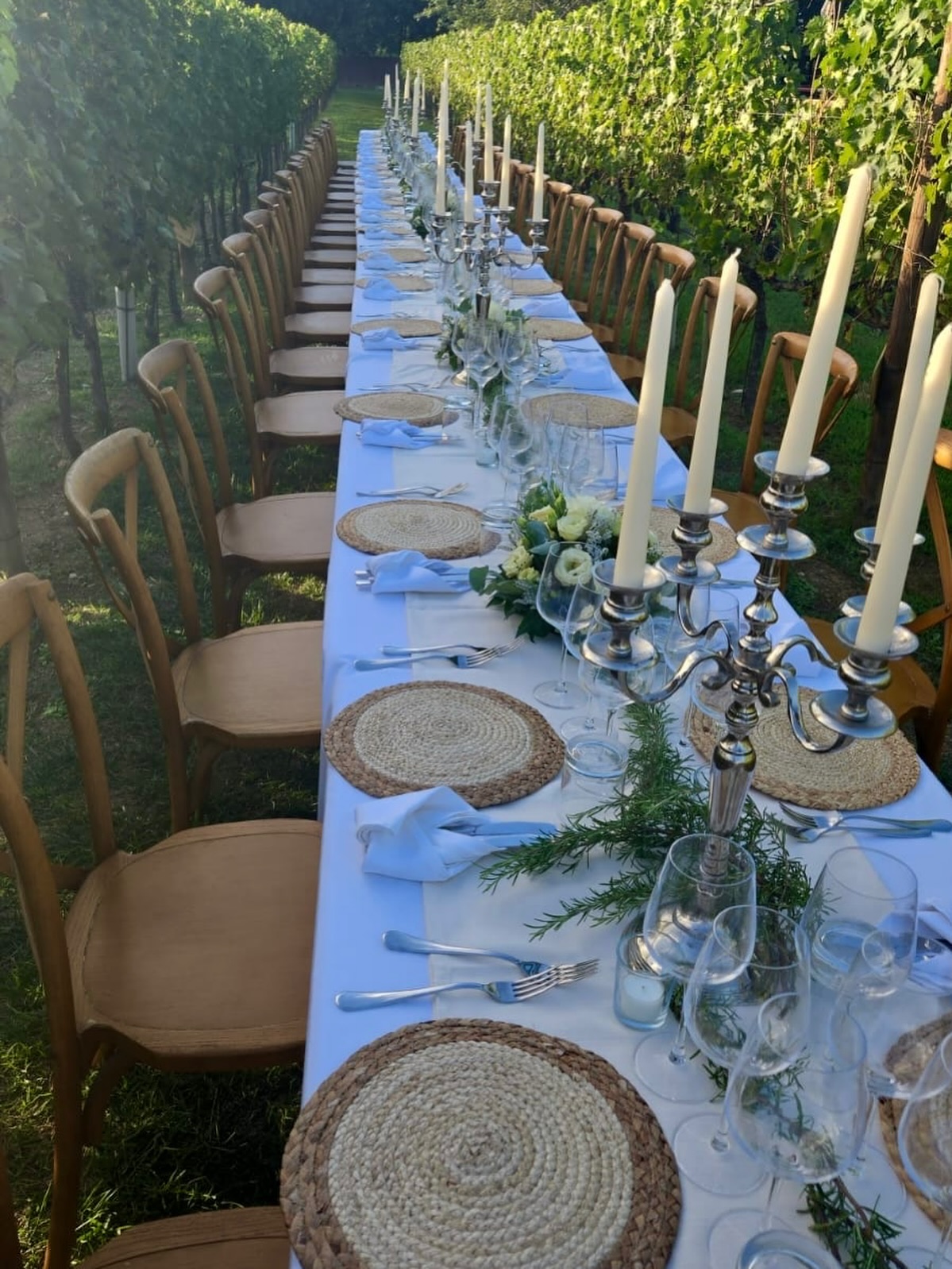 Tenuta Torciano Facebook ad: Our vineyards are decked out for the harvest…