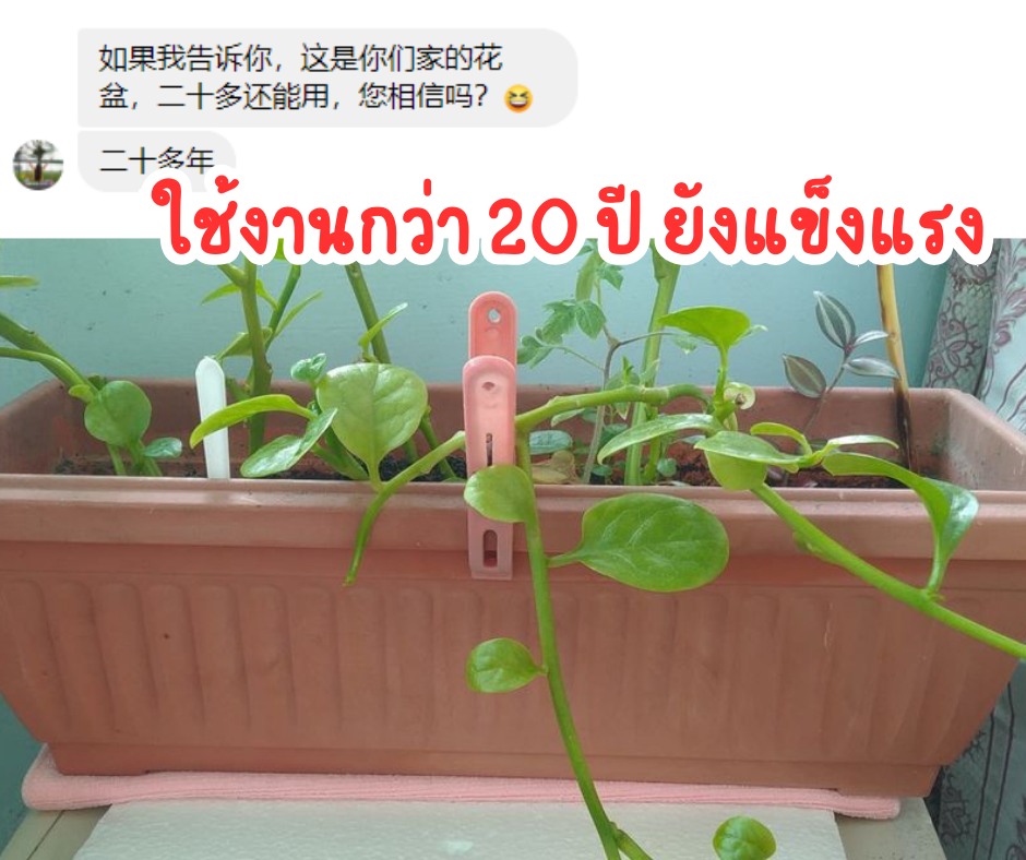 Baba Gardening _ บาบา การ์เดนนิ่ง Facebook ad