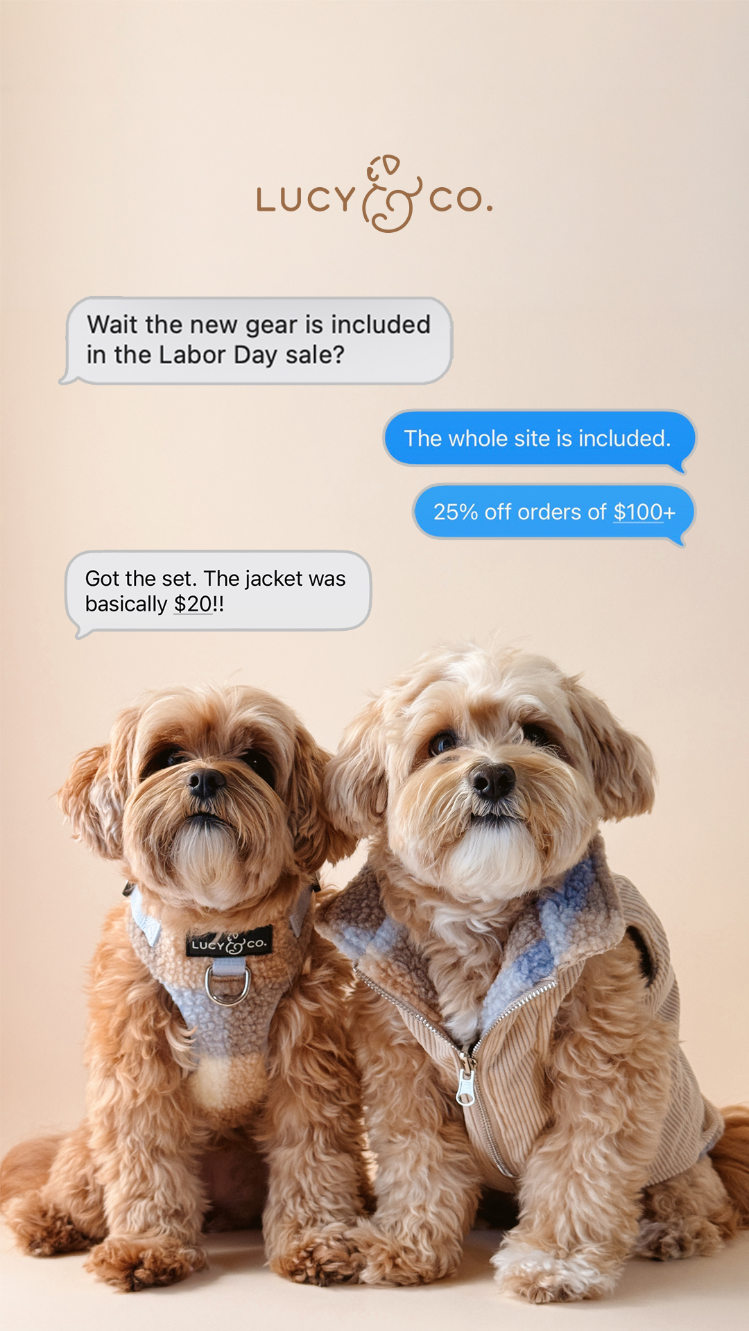 Lucy & Co. Facebook ad