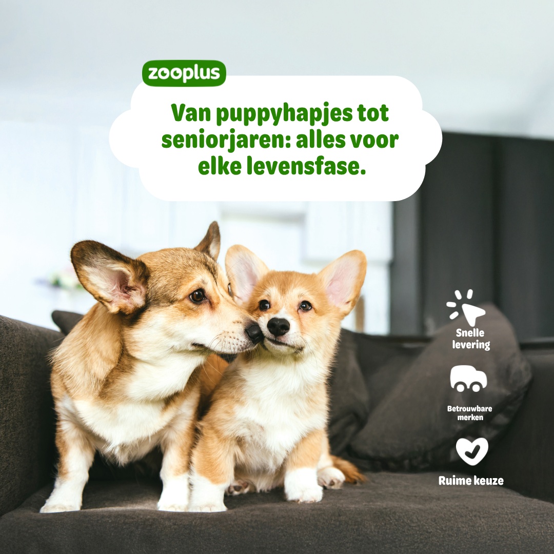 zooplus Facebook ad