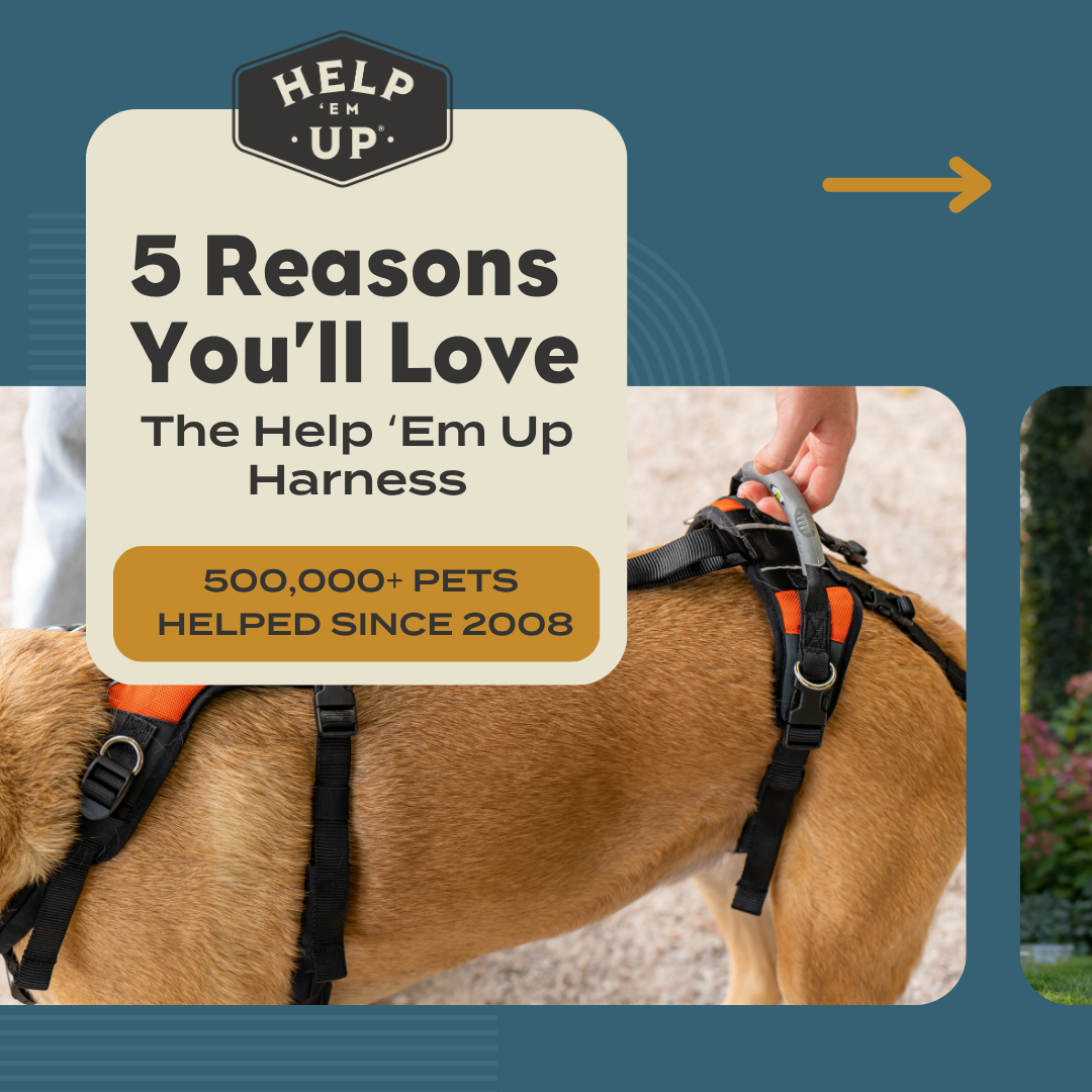 Help Em Up Harness Facebook ad