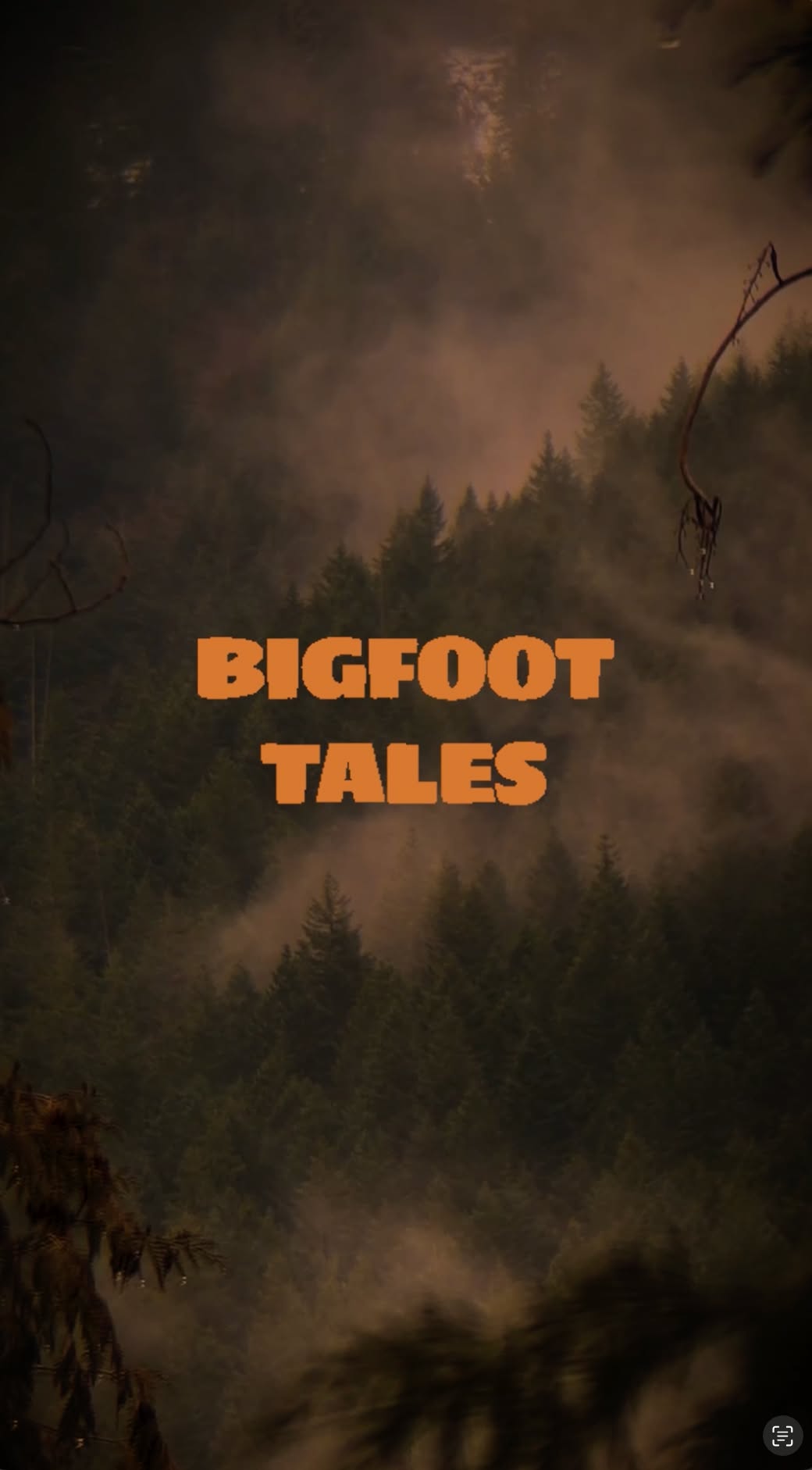 Shwood Eyewear Facebook ad from Jul 29, 2026