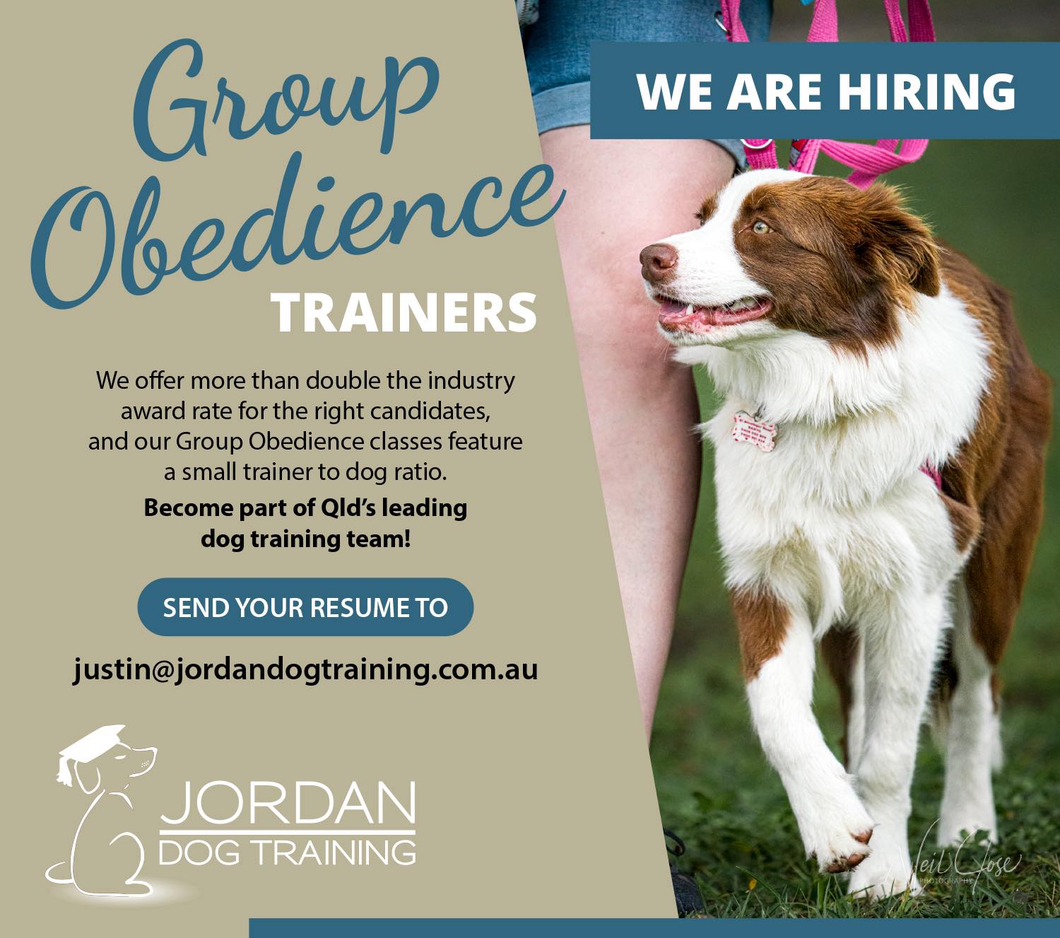 Jordan Dog Training Facebook ad: ARE YOU AN EXPERIENCED DOG TRAINER?