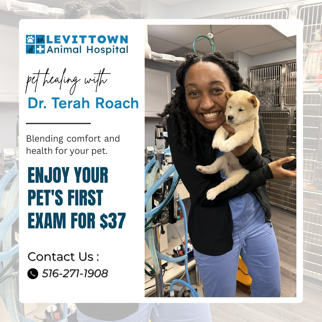 Levittown Animal Hospital Facebook ad: $37 First Exam for New Clients!