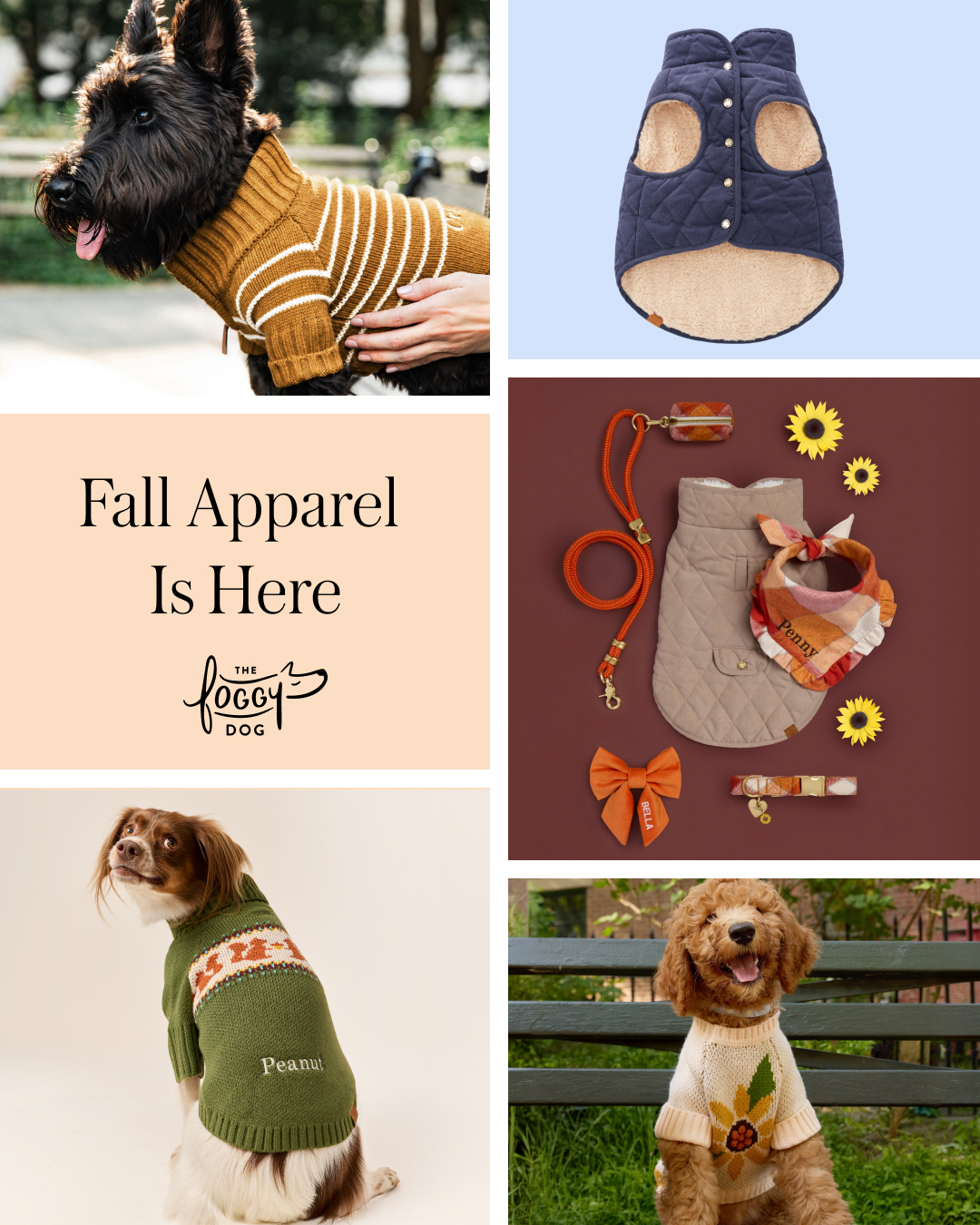 The Foggy Dog Facebook ad