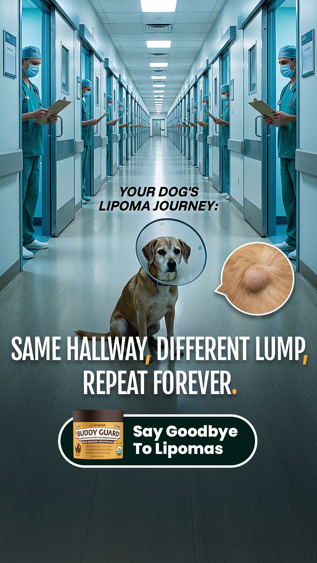 Petsmont Facebook ad