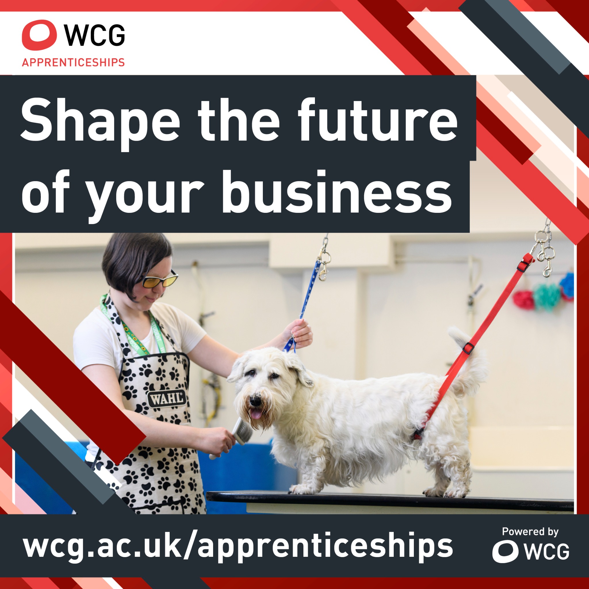Moreton Morrell College Facebook ad: Hire a Professional Dog Grooming Apprentice