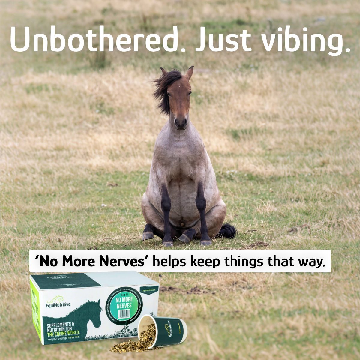 EquiNutritive Facebook ad