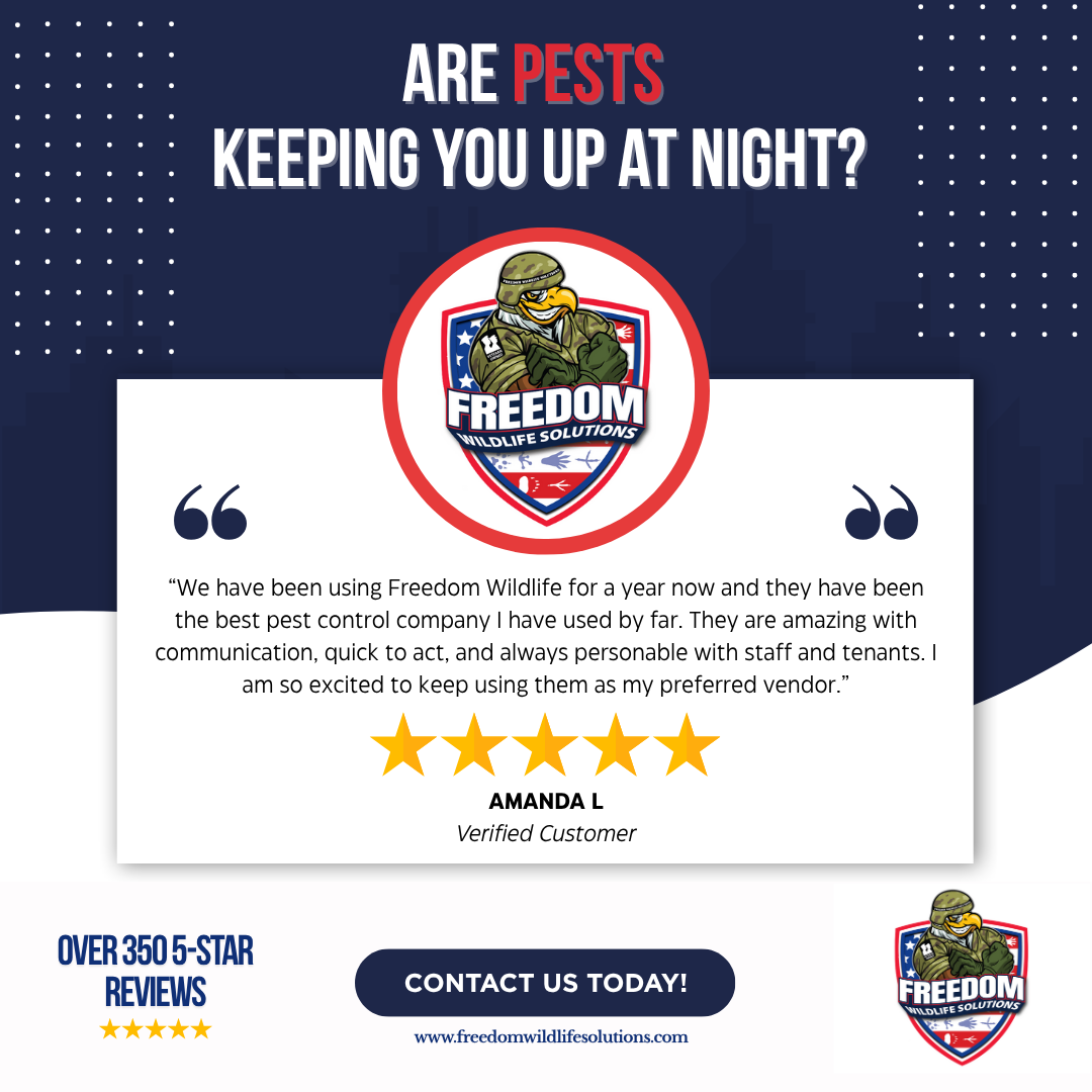 Freedom Wildlife Solutions & Pest Control Facebook ad