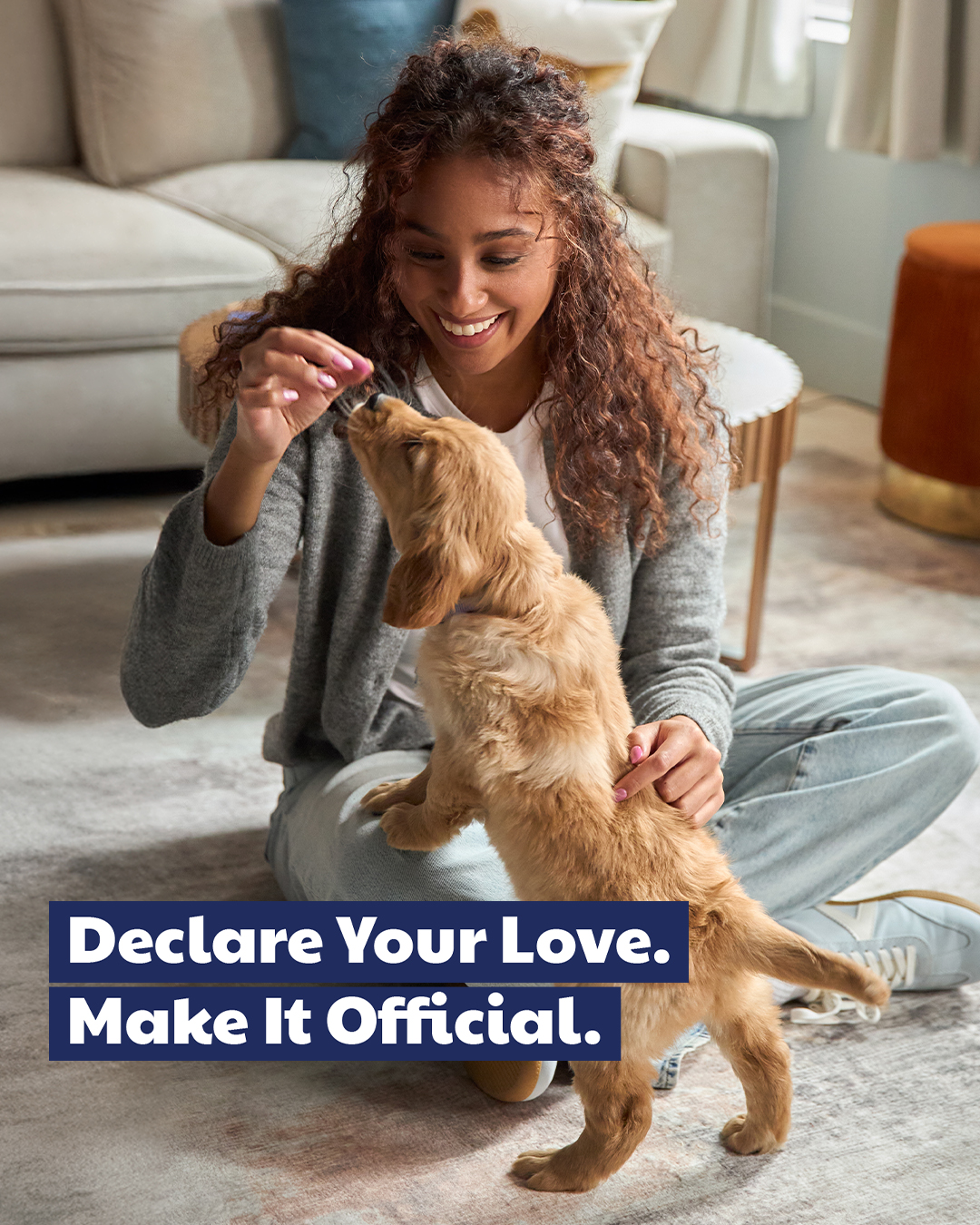 American Kennel Club Facebook ad