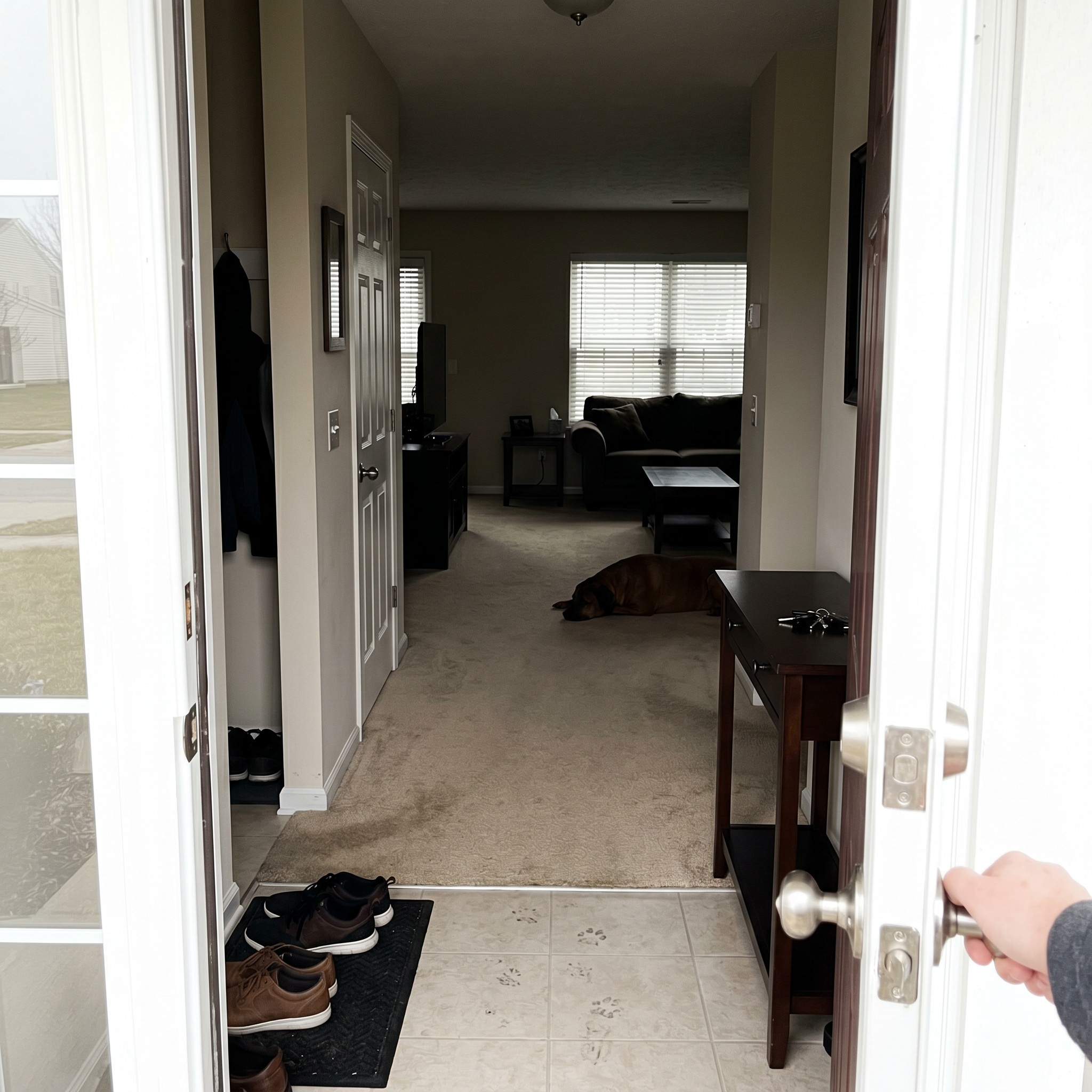 Rafitheminiaussie Facebook ad: The Dog Smell Isn't Your Dog - It's Your Carpet