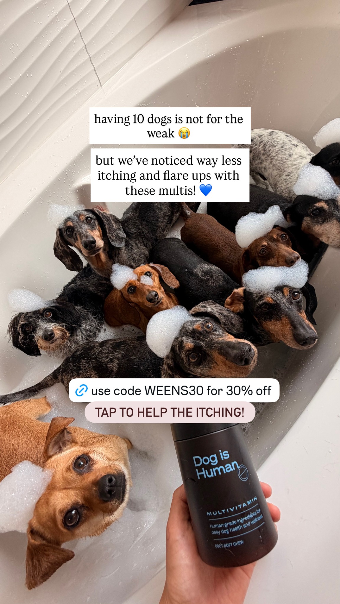 The Weens Facebook ad: Daily Dog Multivitamin, Real Results