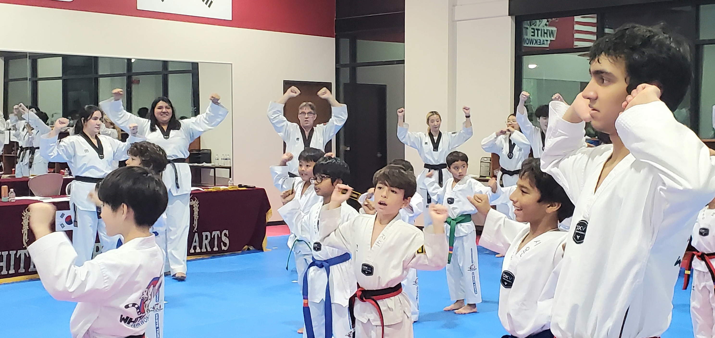 Elite White Tiger Taekwondo Facebook ad: 2 FREE Trial Classes (No Strings Attached)