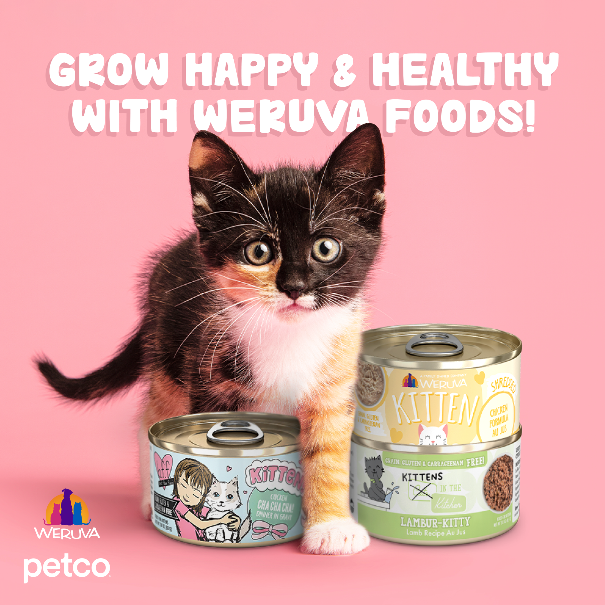 Petco Facebook ad