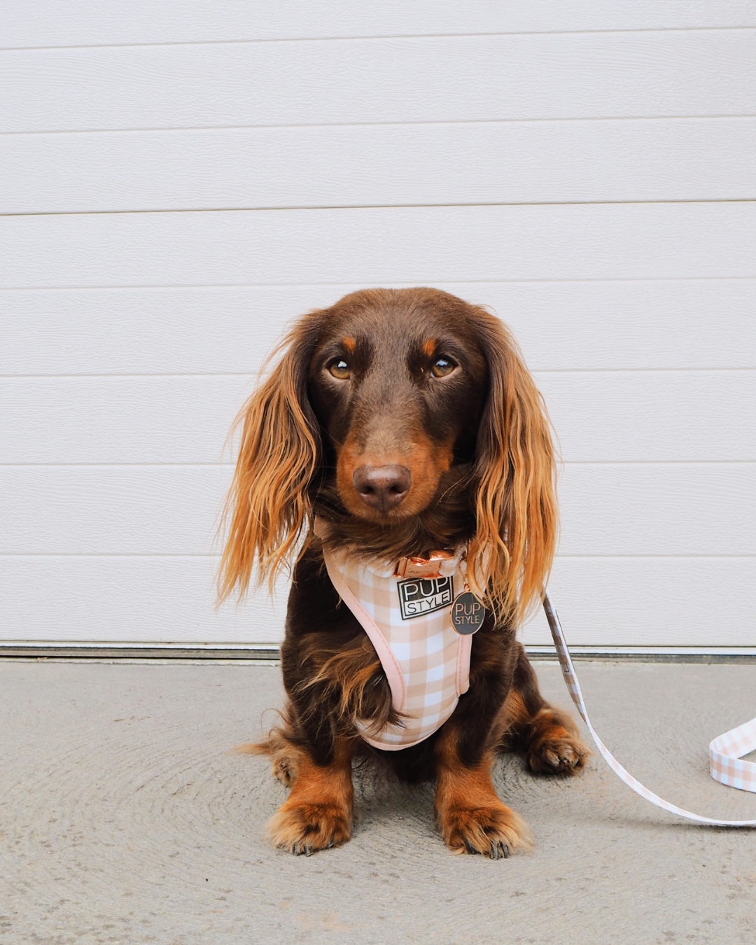 PUPSTYLE Store Facebook ad