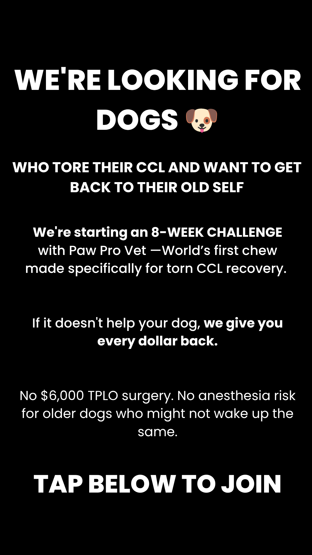 Paw Pro Vet Pets Facebook ad: Give Him 8 Weeks Before You Book Surgery