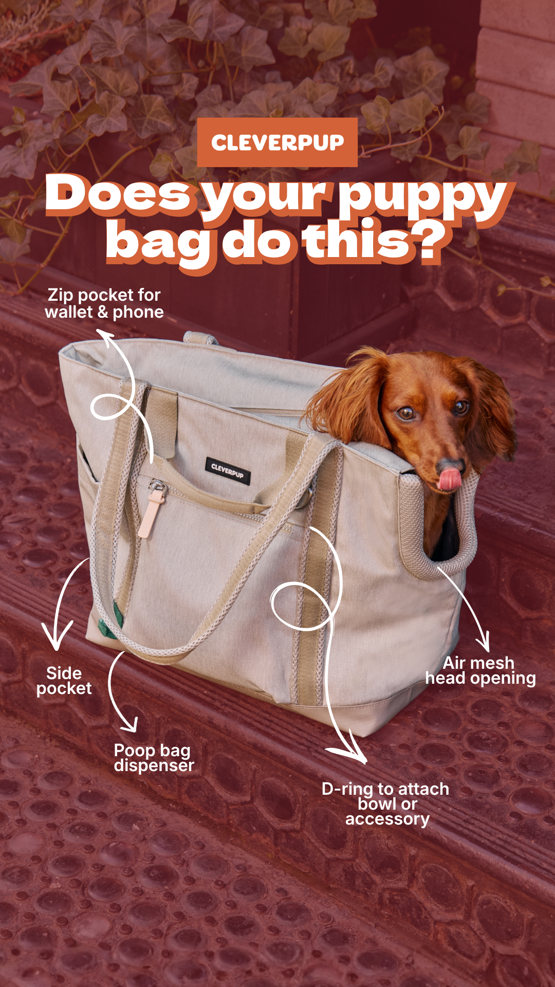 Cleverpup Facebook ad