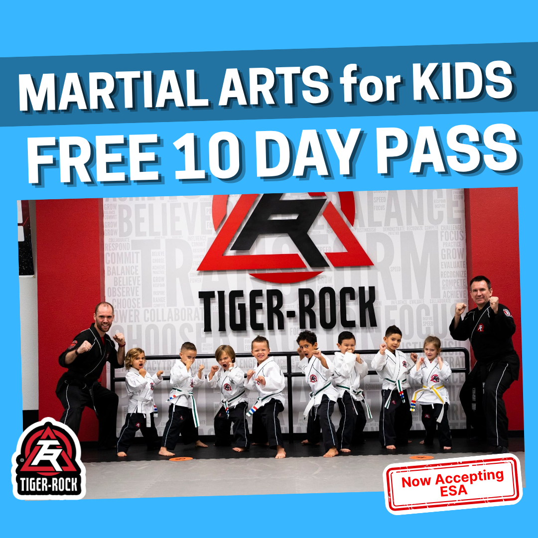 Tiger-Rock Martial Arts of Gilbert Facebook ad
