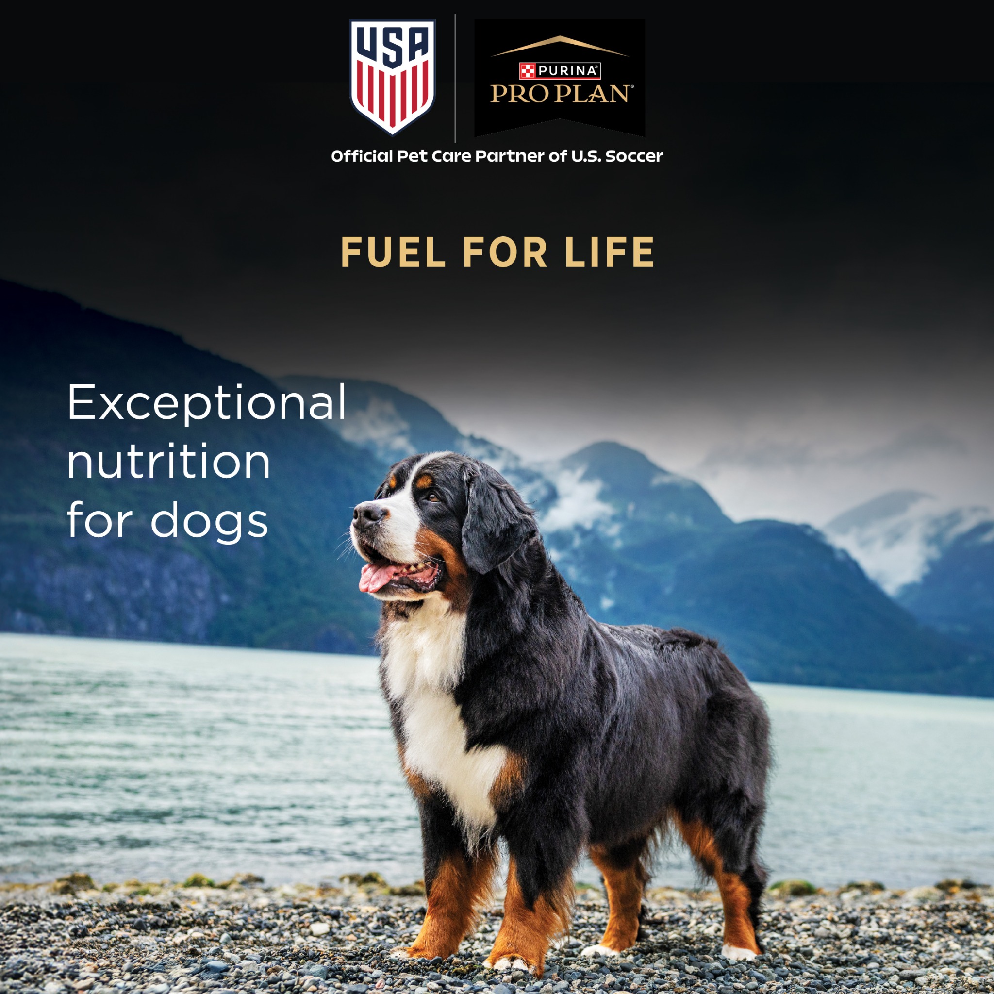 Pet Supplies Plus Facebook ad: Fuel For Life