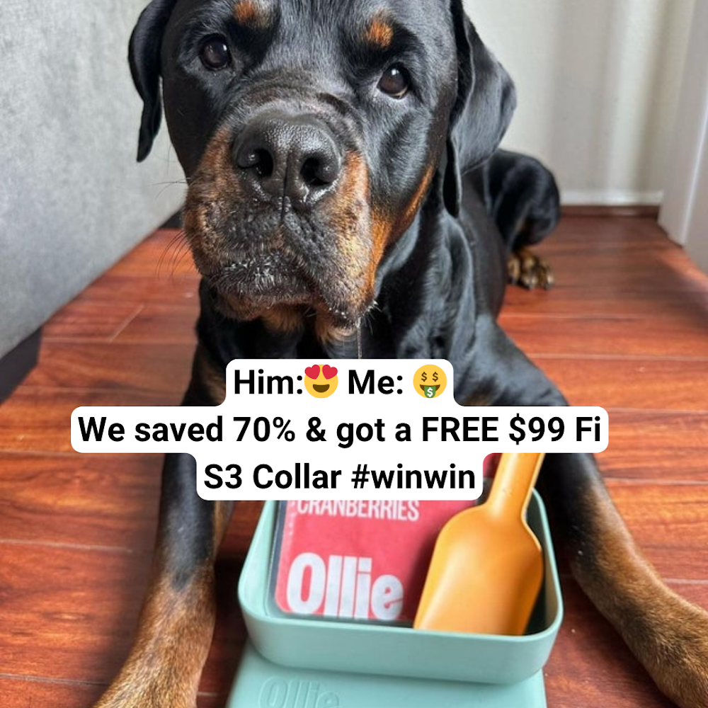 Sophie Hart Facebook ad