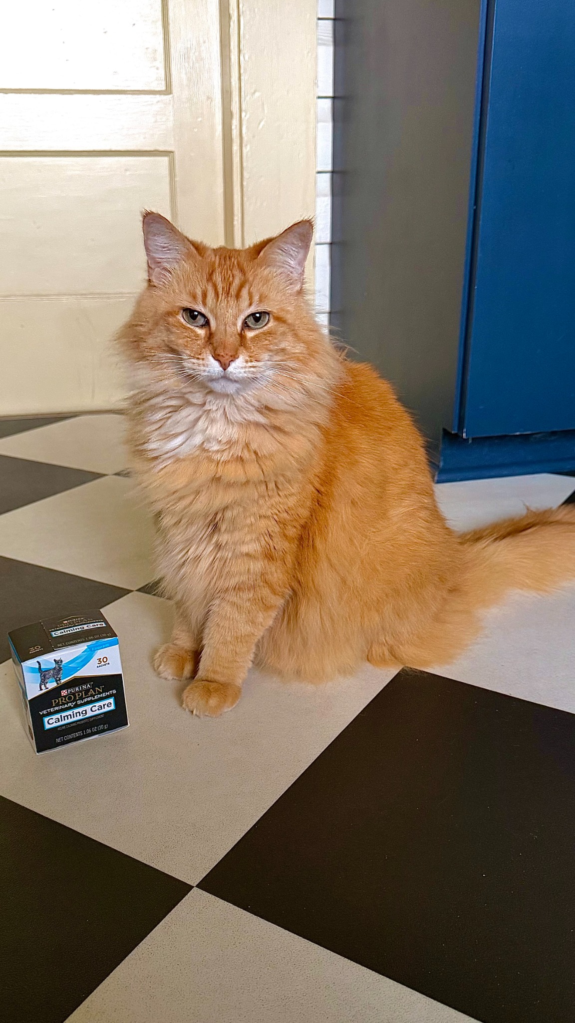 Purina Pro Plan Vet Facebook ad