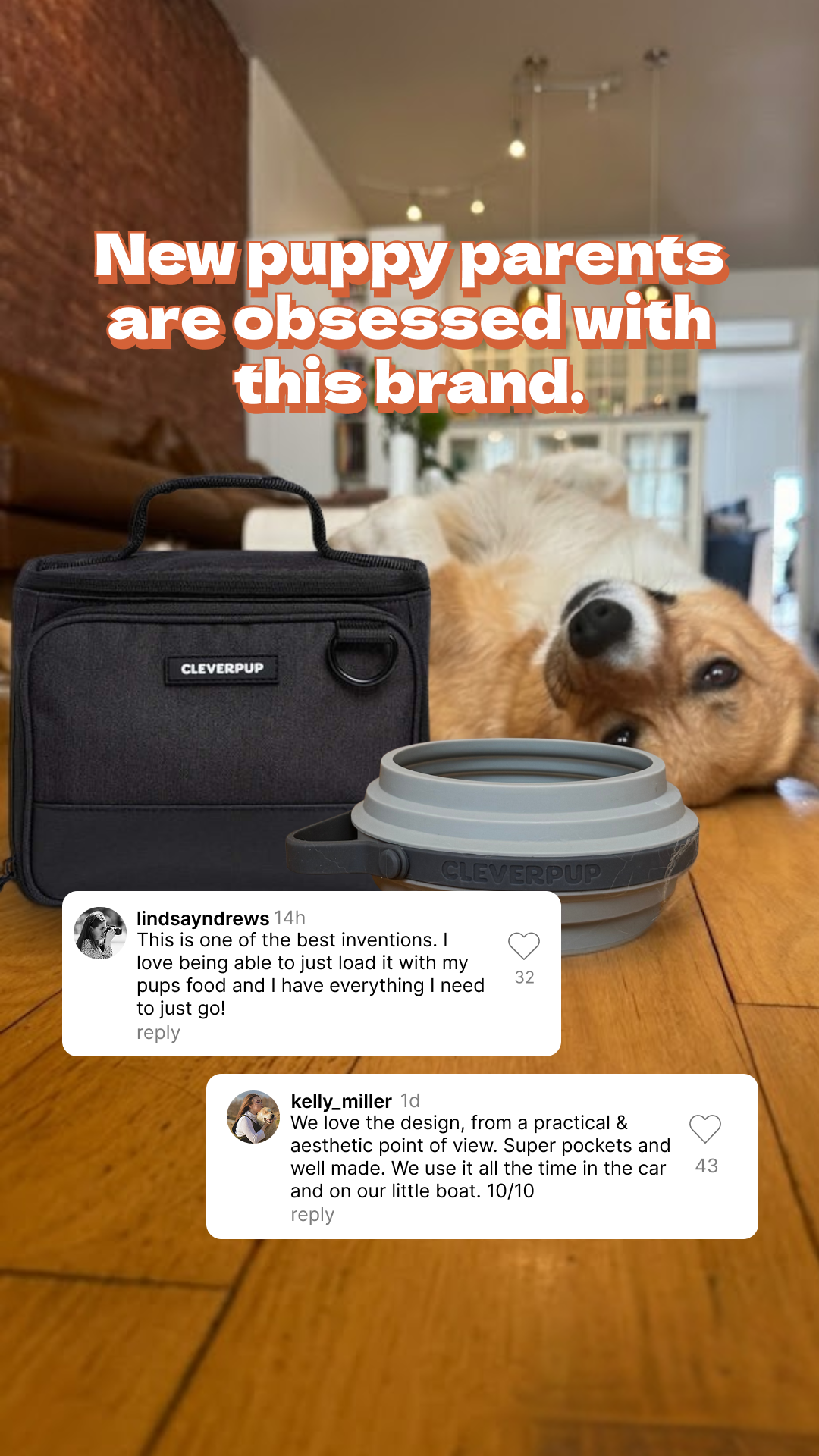 Cleverpup Facebook ad
