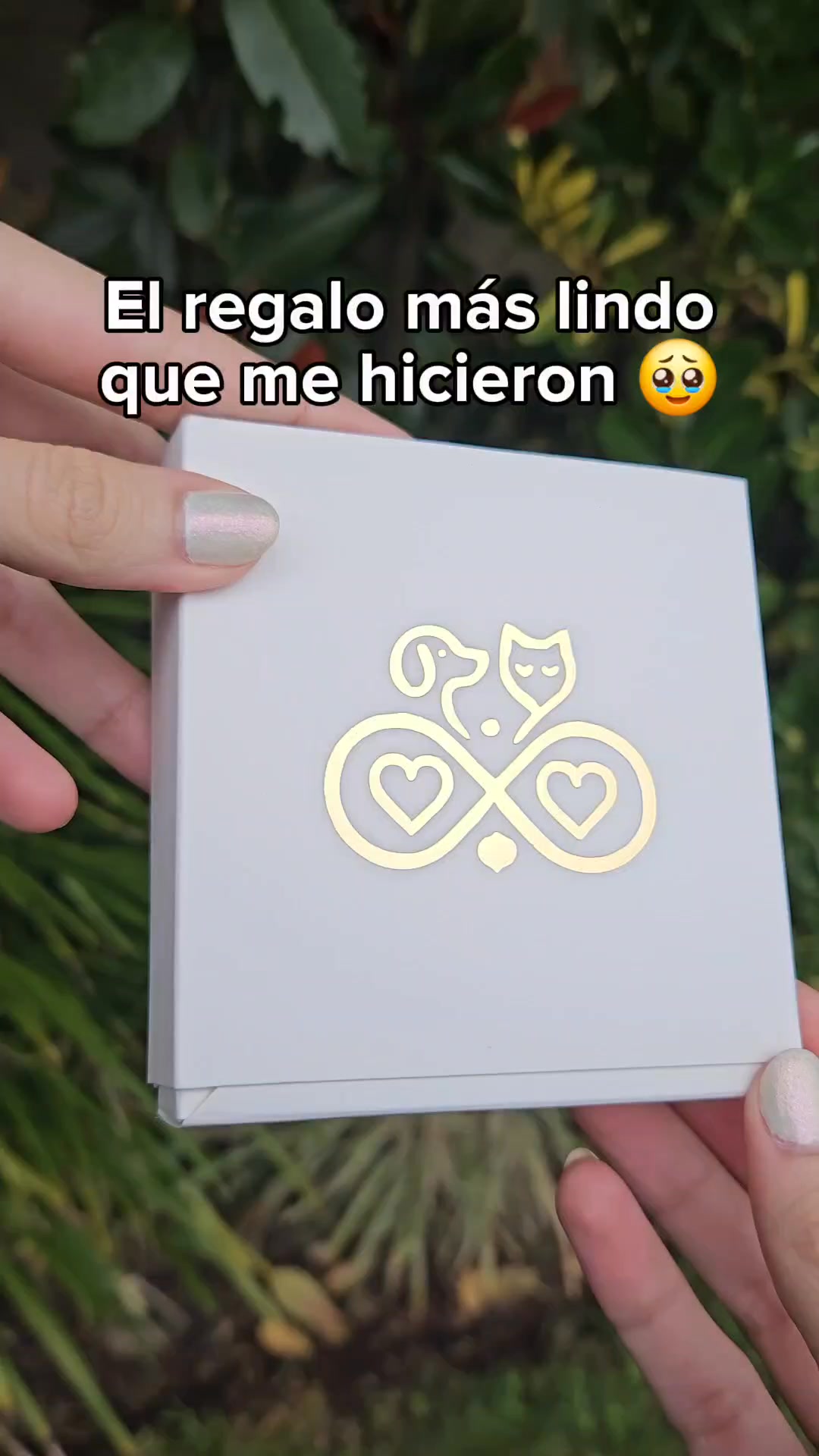 PetChic Facebook ad: El mejor regalo para una dueña de mascota
