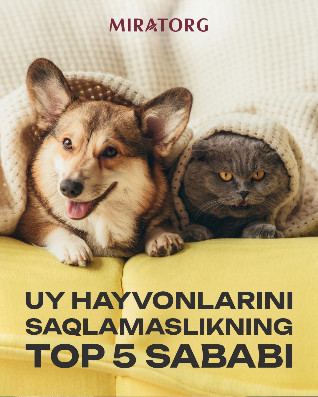 Miratorg Uzbekistan Facebook ad: Kimdir seni dadil o‘tkazayotganingni sezib qoldiyov