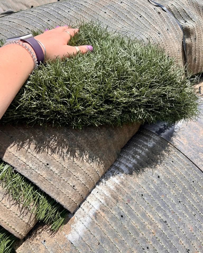 Sarah Miller Facebook ad: Forever Green Yard! $0.60 per sqft! Infill Removed!