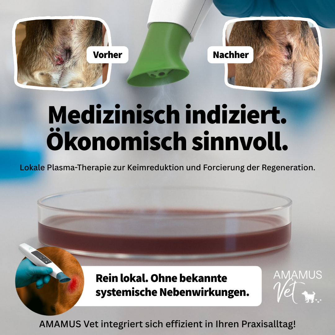 Amamus Vet Facebook ad: Amortisation bereits nach 2-3 Monaten!