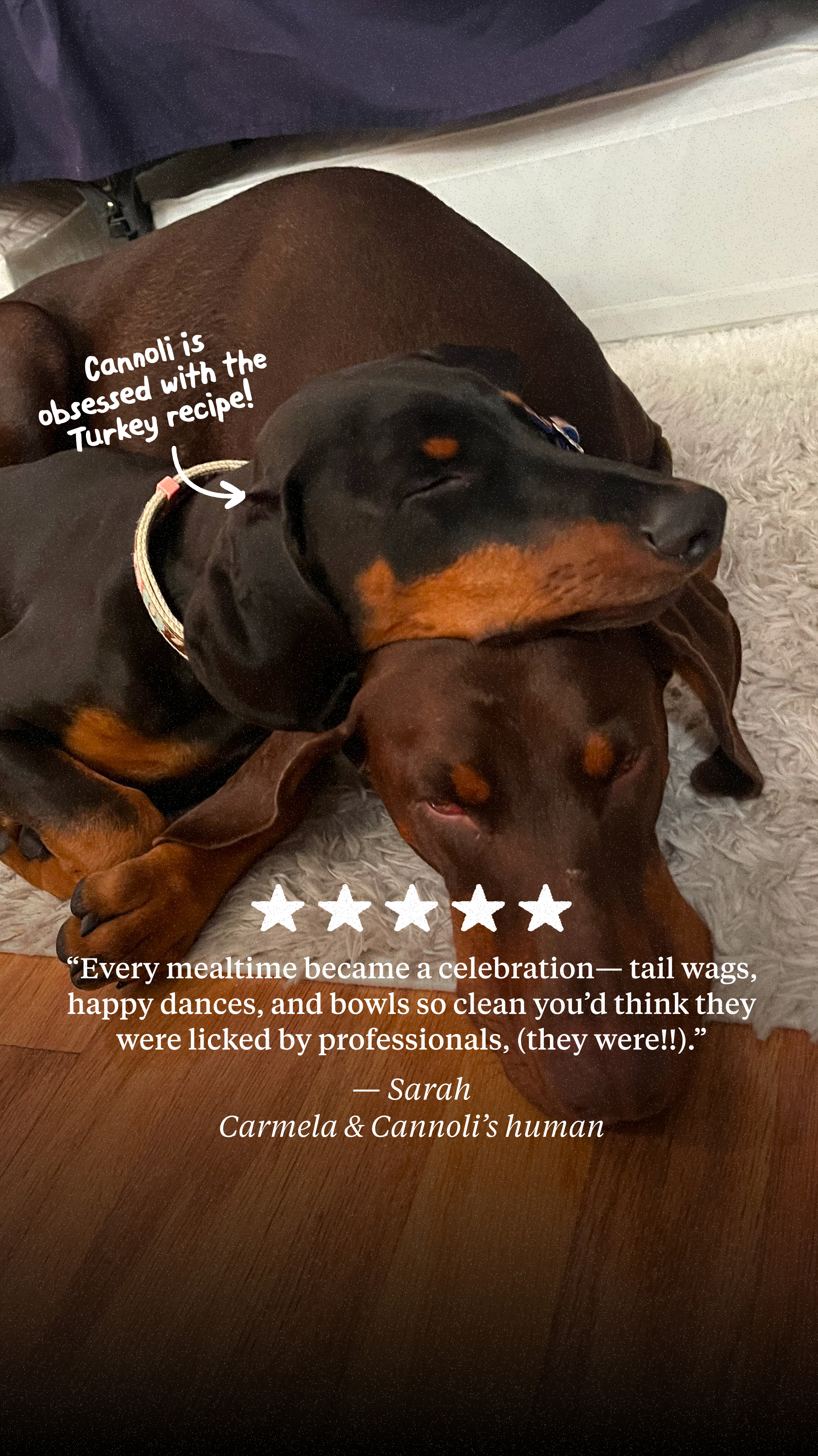 The Farmer's Dog Facebook ad
