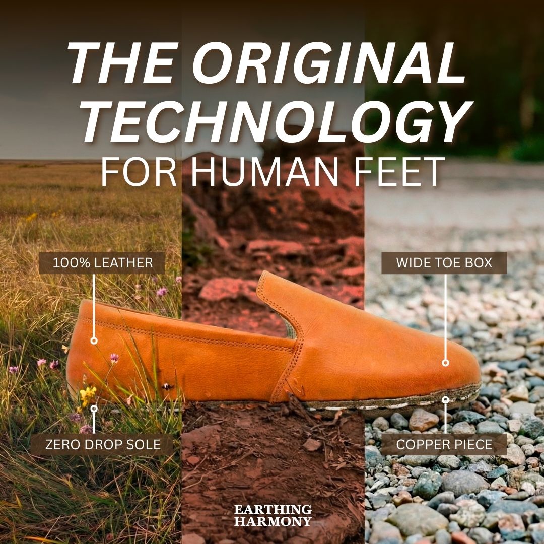 Earthing Harmony Facebook ad