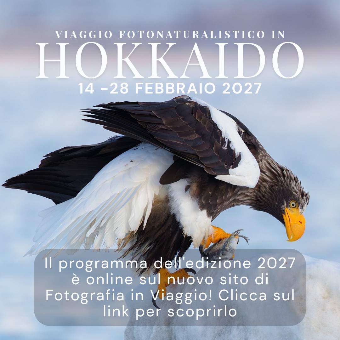 Enrico Fulco Photography Facebook ad: Viaggio fotografico Hokkaido e Honshu