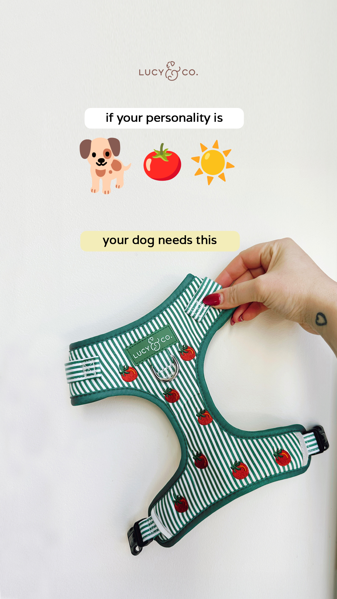 Lucy & Co. Facebook ad