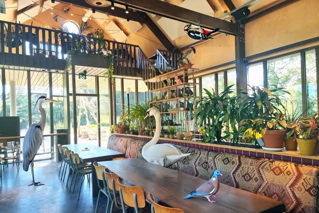 House of Bird Diemerbos Facebook ad: House of Bird | Restaurant in Diemerbos & Kwintelooijen