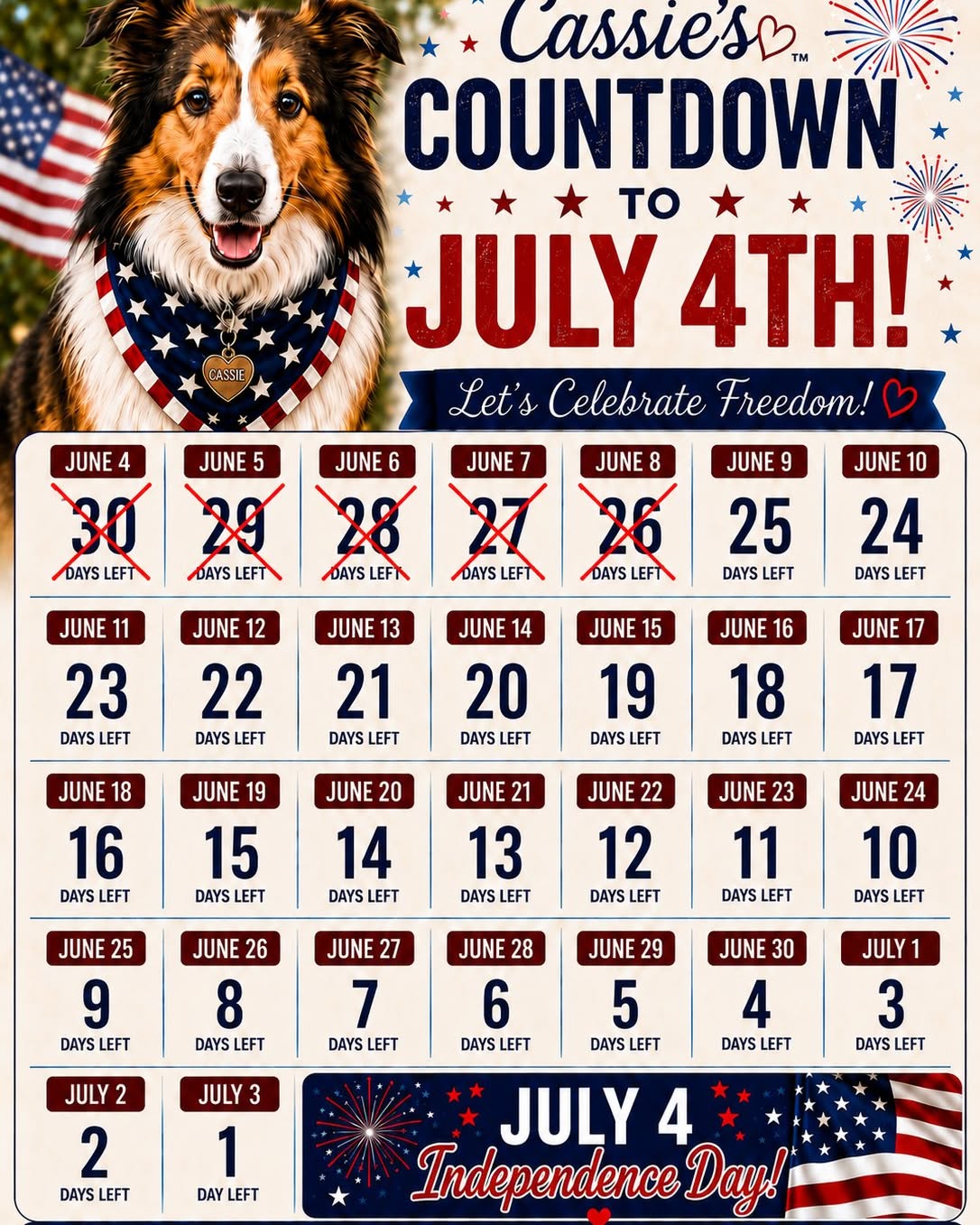 Janece Newman Pratt Facebook ad: 250 Celebration Gift Box for Pets