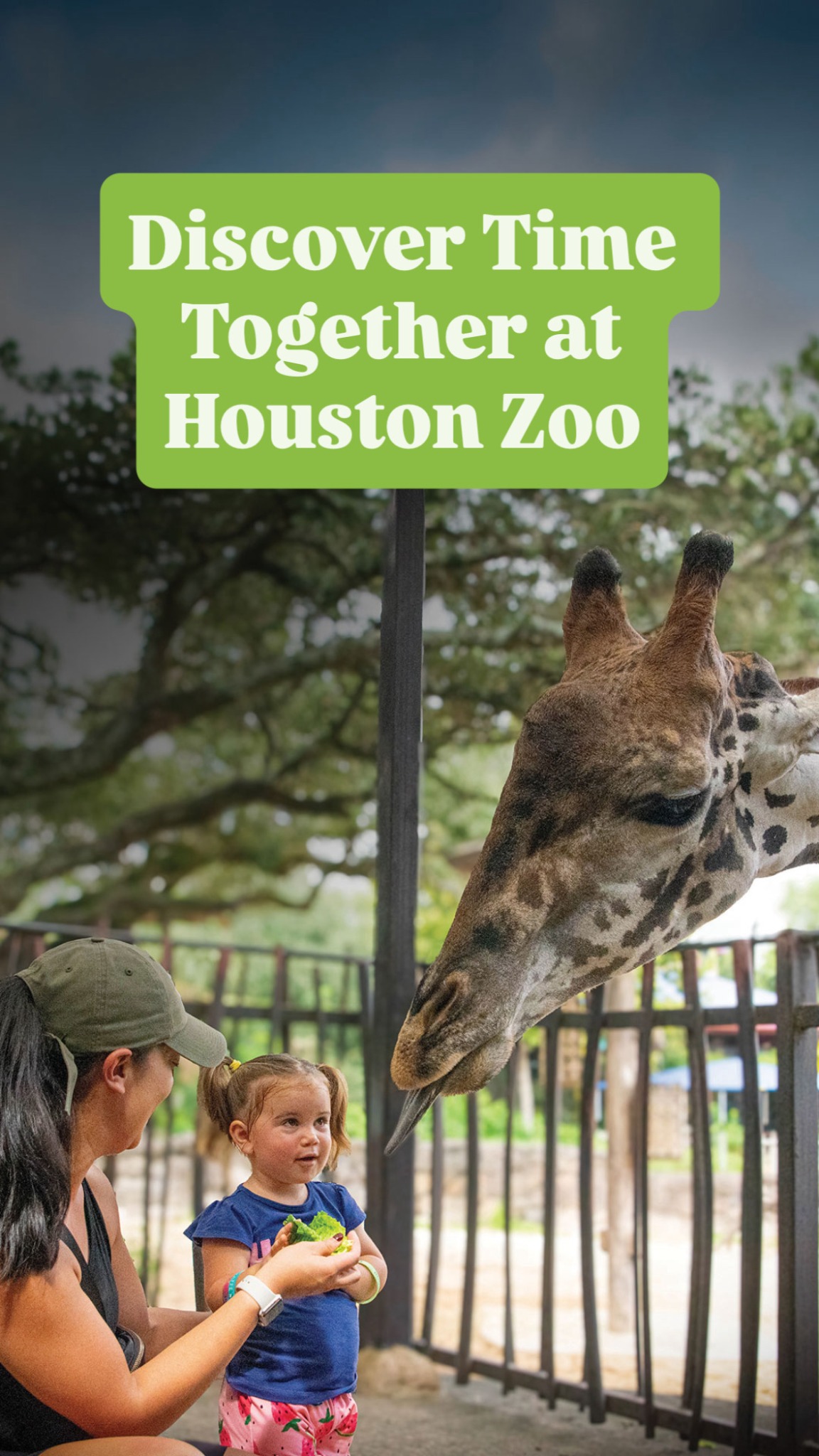 Houston Zoo Facebook ad from Jun 22, 2026