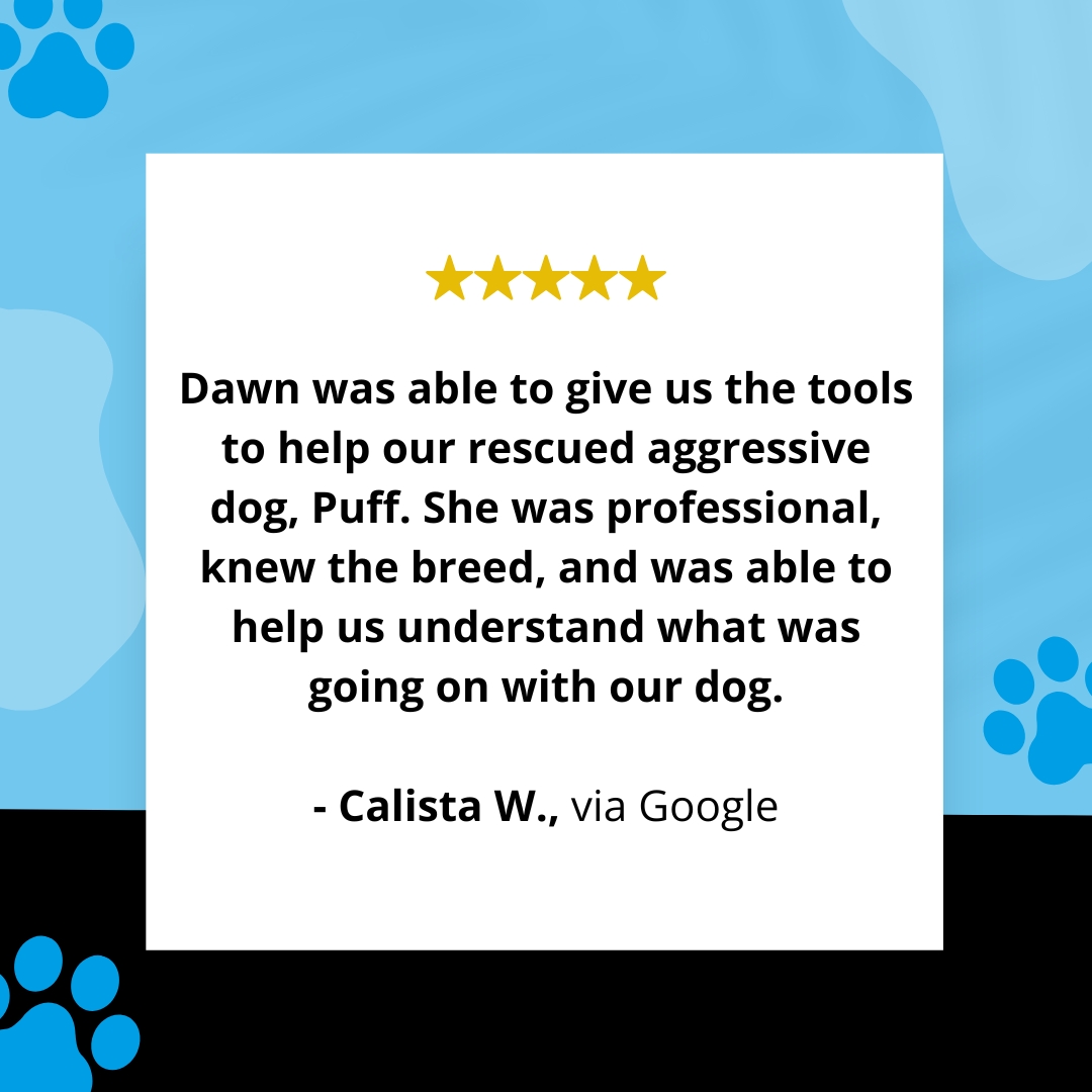 Barer Pet Behavior Consulting & Dog Training Facebook ad