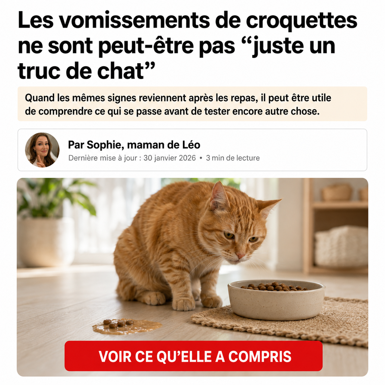 Sophie Martin Facebook ad: STOP: ne changez pas encore ses croquettes
