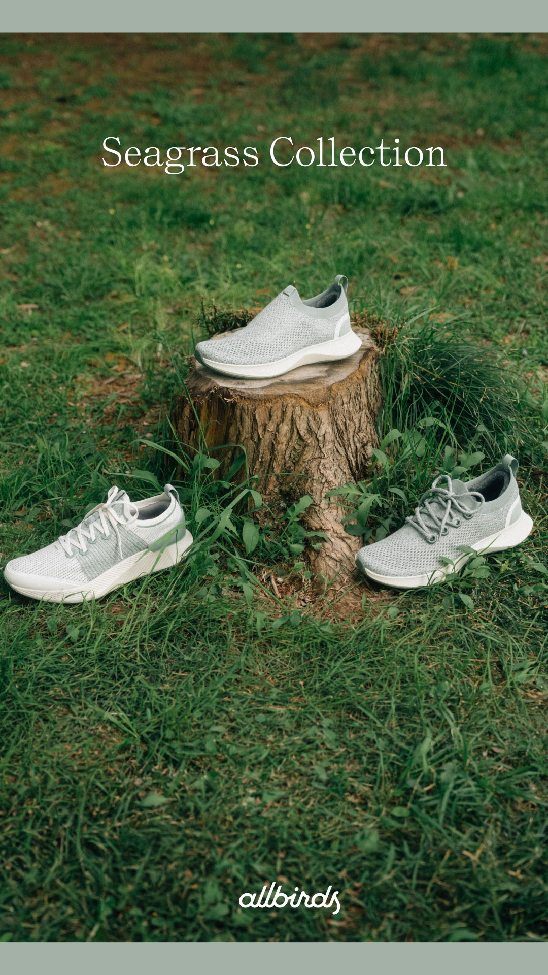 Allbirds Japan Facebook ad